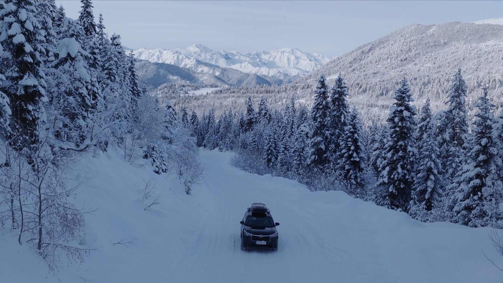 Strada innevata attraverso un bosco