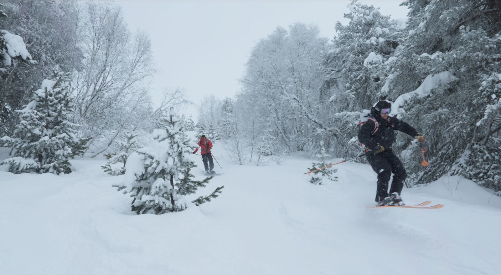 Two skiers riding deep powder through a snow-covered forest during a snowfall