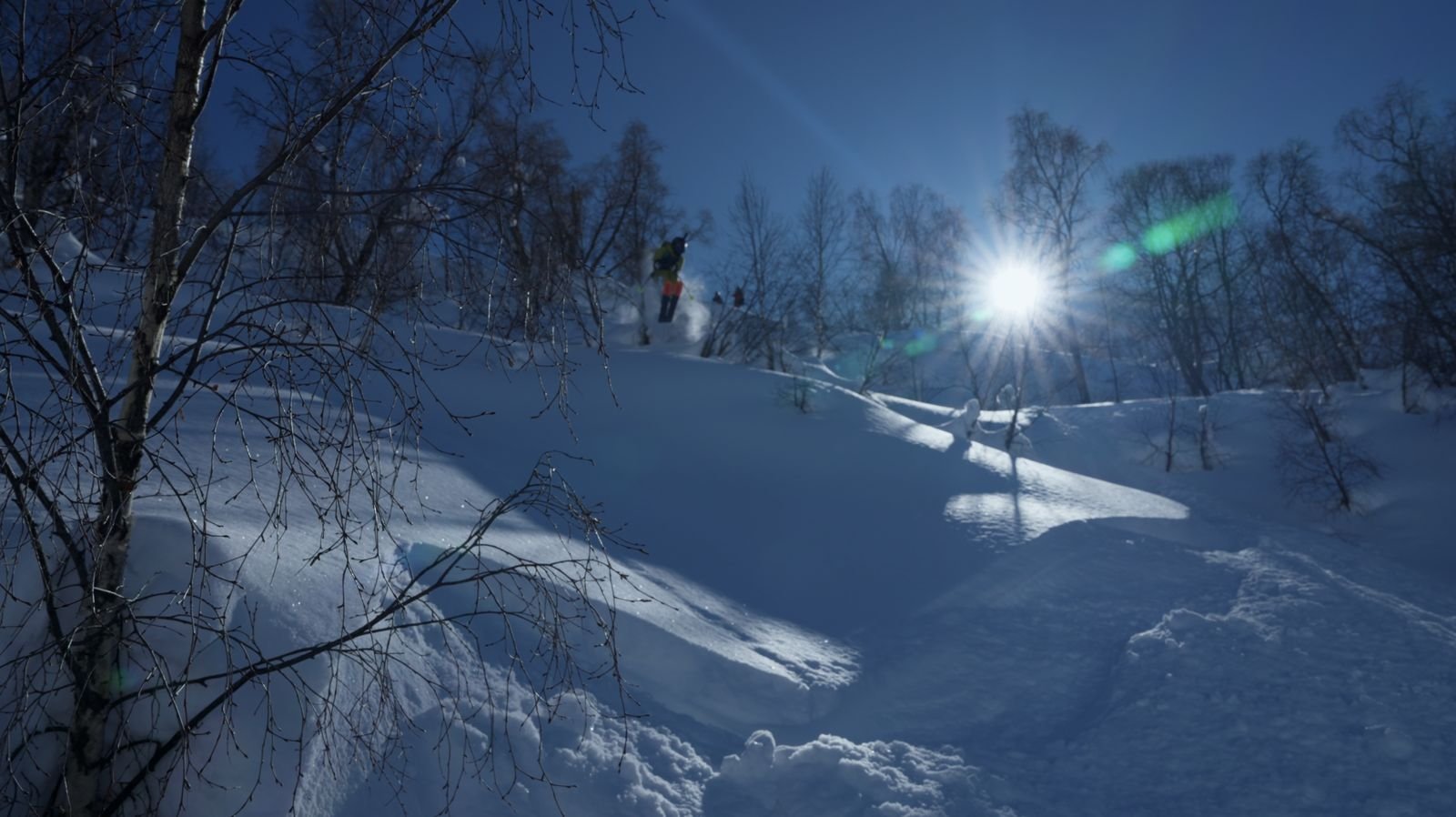 Winter sun through the trees above Mestia