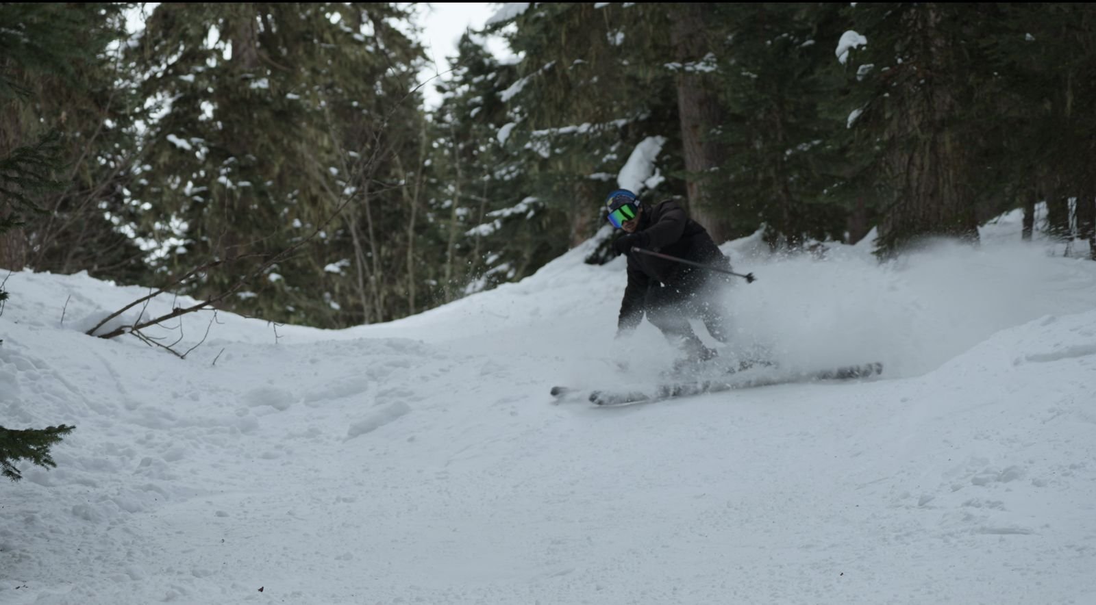 Skier touring in a forested valley in the Caucasus near Hatsvali, Svaneti