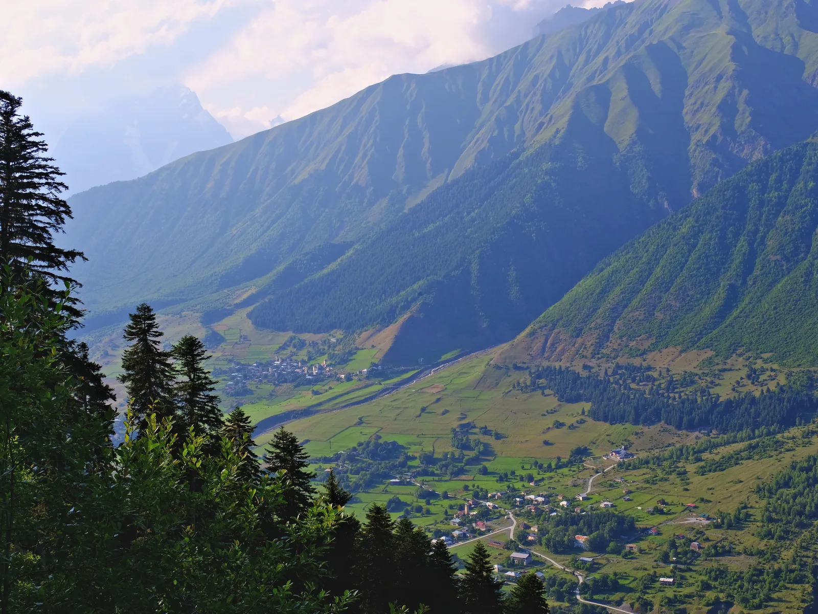 The Mulakhi valley seen between fir trees in summer.