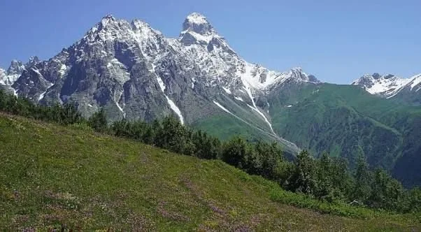 Summer meadow beneath Ushba
