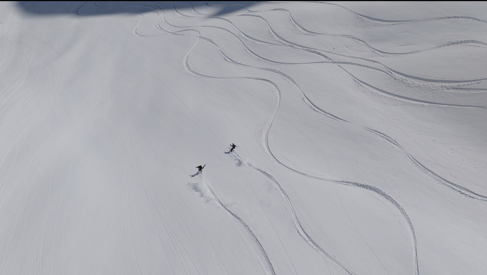 Pair of freeriders in fresh snow