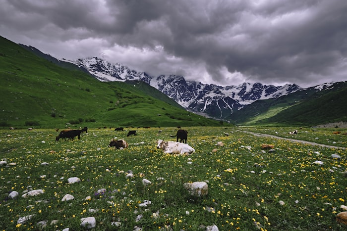 Georgia-Touren