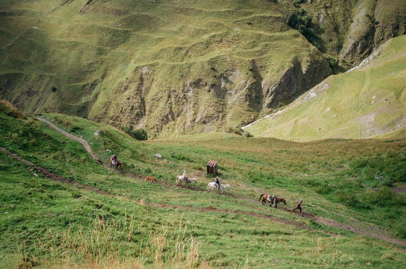 Reiten – Svaneti Tours, Mestia, Swanetien, Georgien