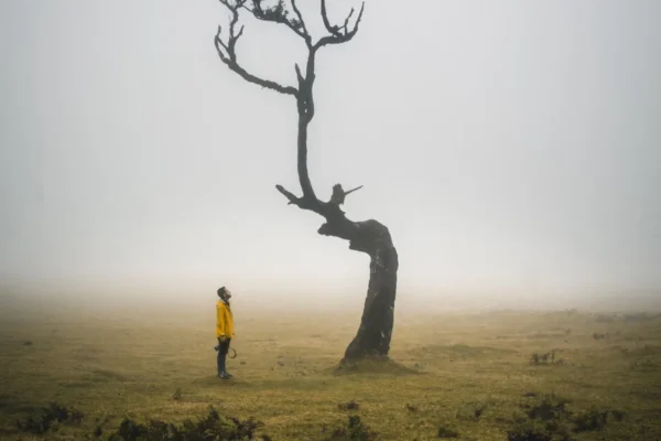 Koruldi Lakes (Hiking)